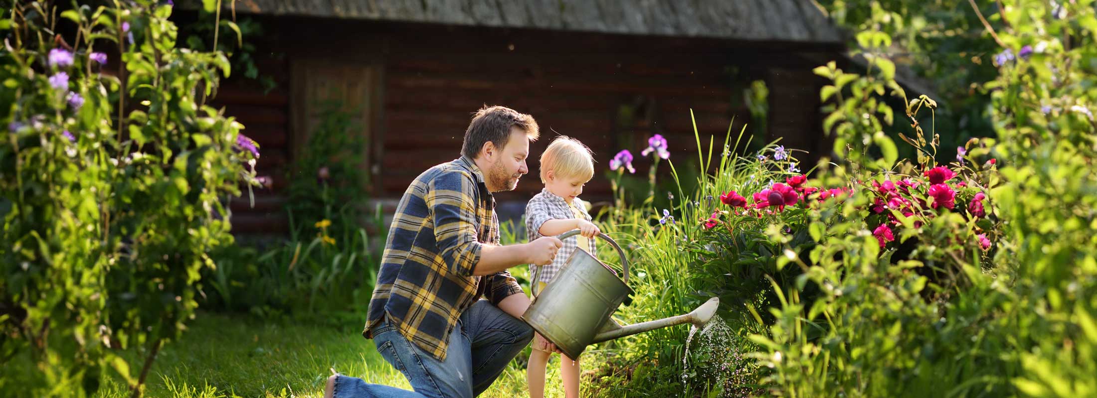 Services and Eligibility